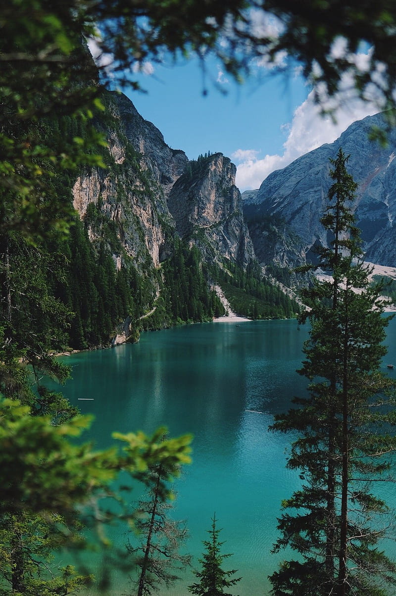 800x1204 Mountain View, forest, lake, landscape, landscapes, mountains, trees, water, HD phone wallpaper
