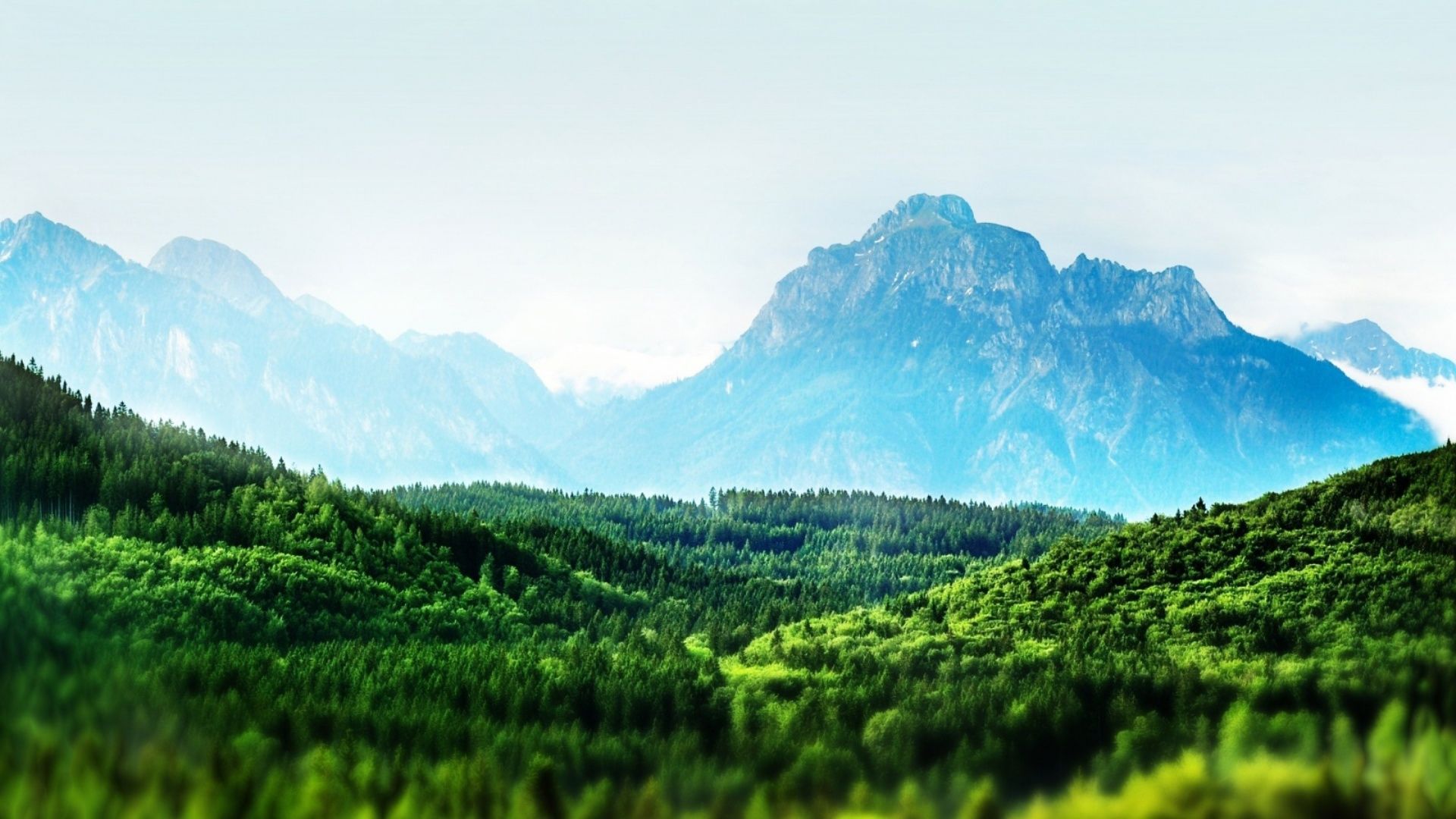 1920x1080 Wallpaper horizon, mountains, forest for mobile and desktop, section пейзажи, resolution 1920x1080