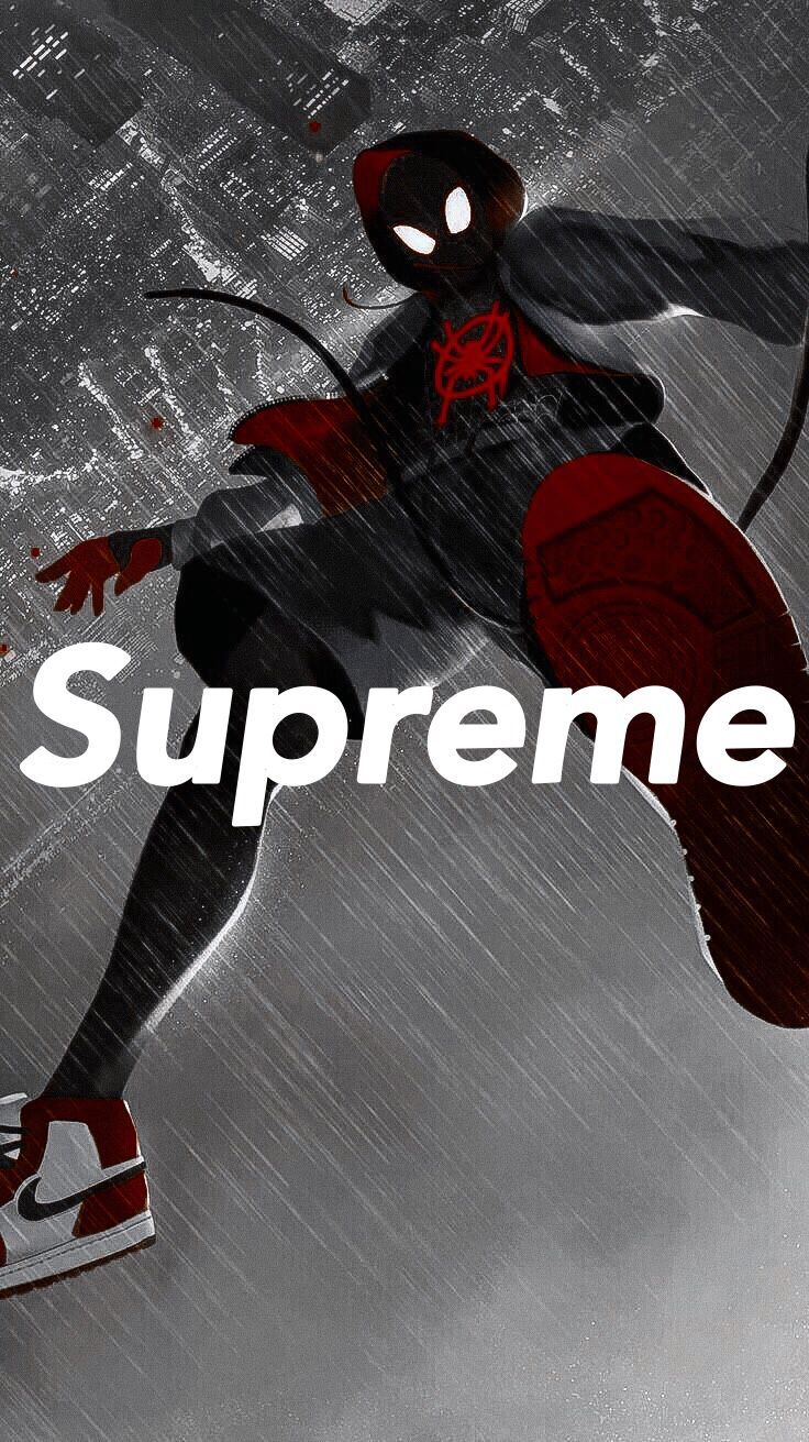 736x1311 Spider