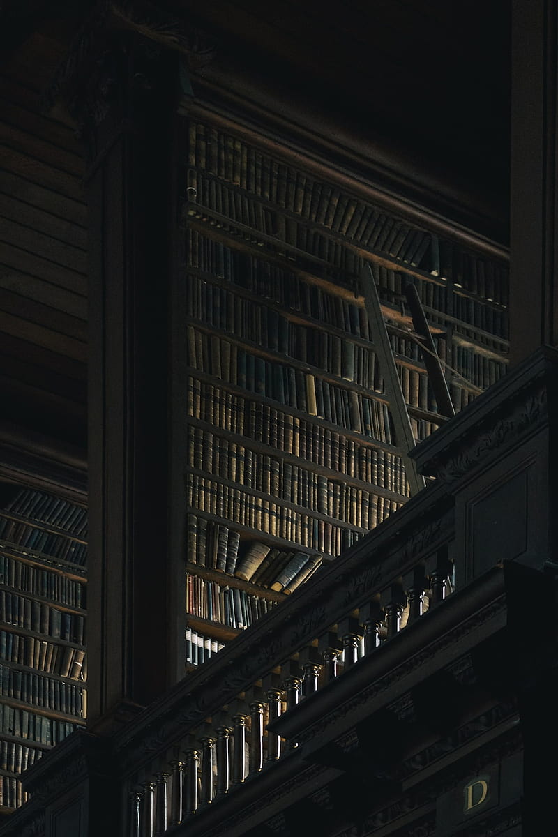 800x1200 Dark Academia, Old Money Aesthetic, HD phone wallpaper