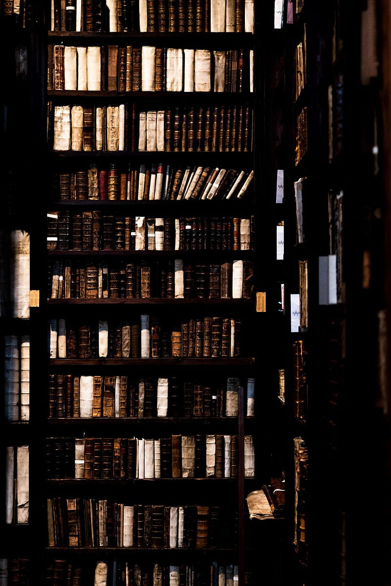 800x1200 Dark Academia for iPhone 's Shelf, Old Money Aesthetic, HD phone wallpaper