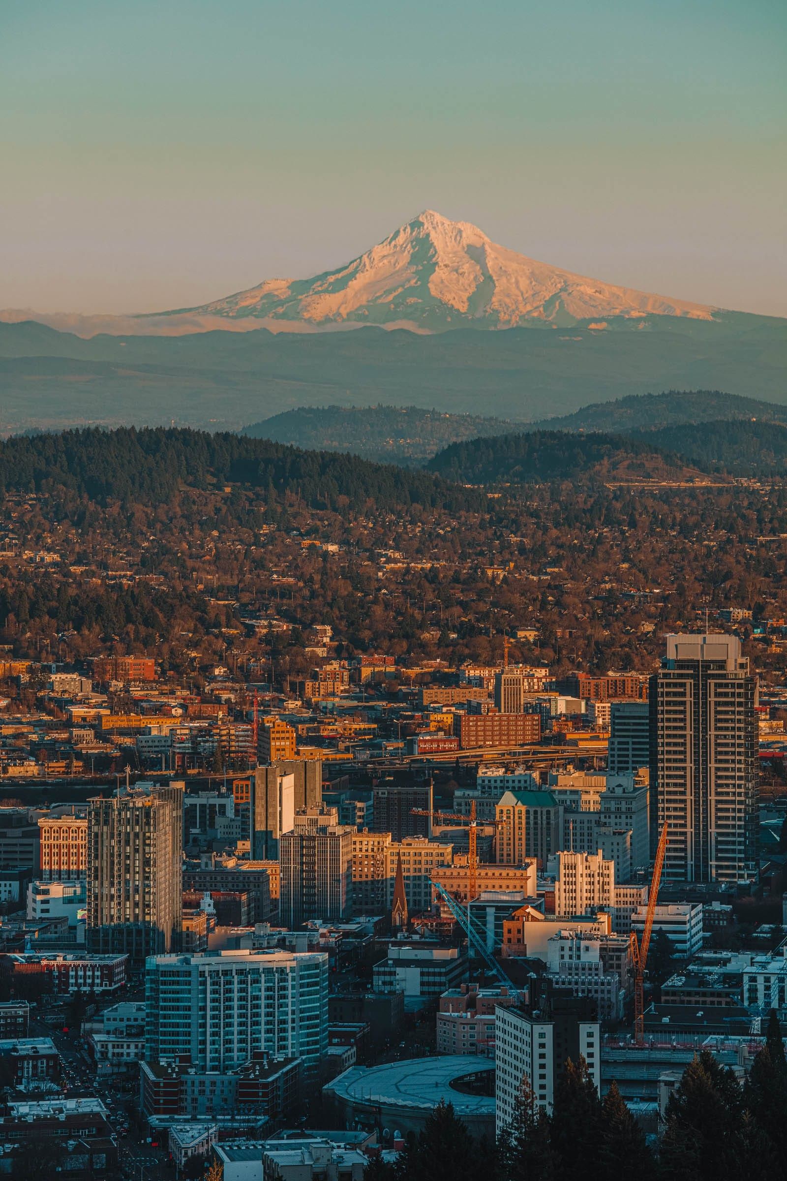 1600x2400 Portland Wallpaper
