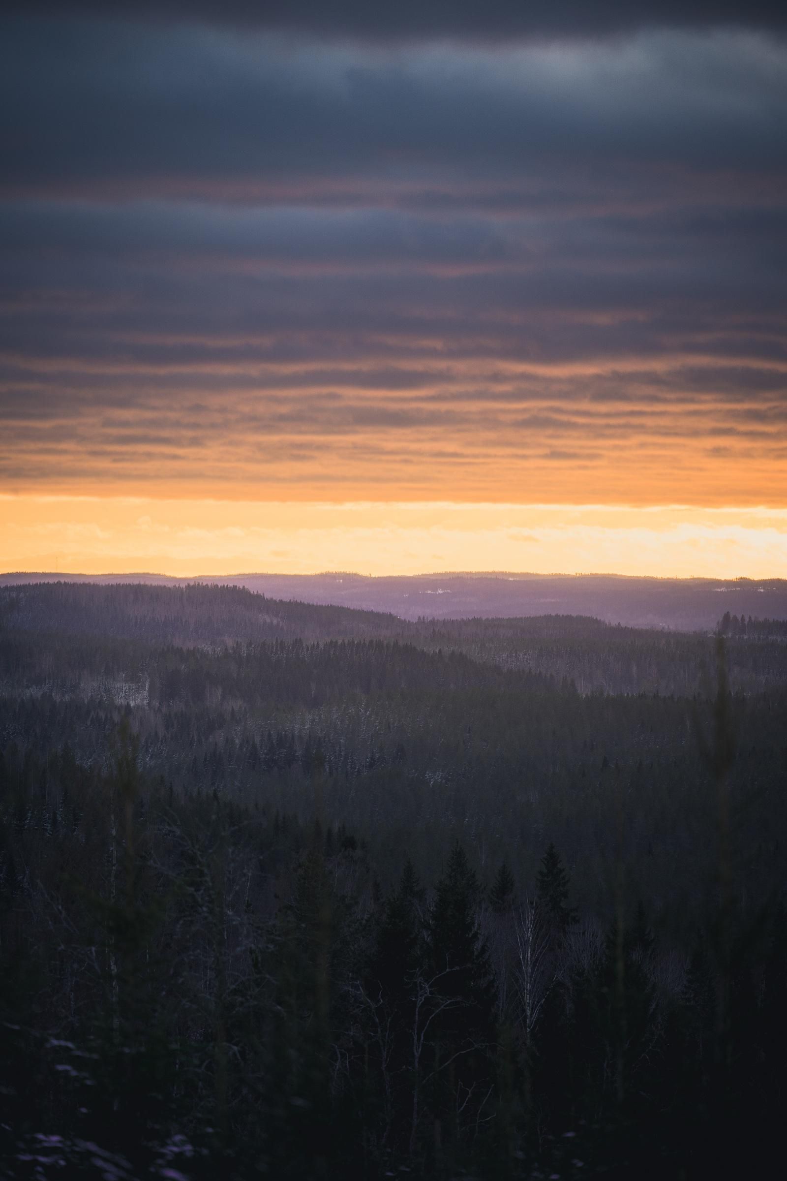 1600x2400 Trees and hills as far as the eye carries [Oc] [1600x2400] [Central Finland]