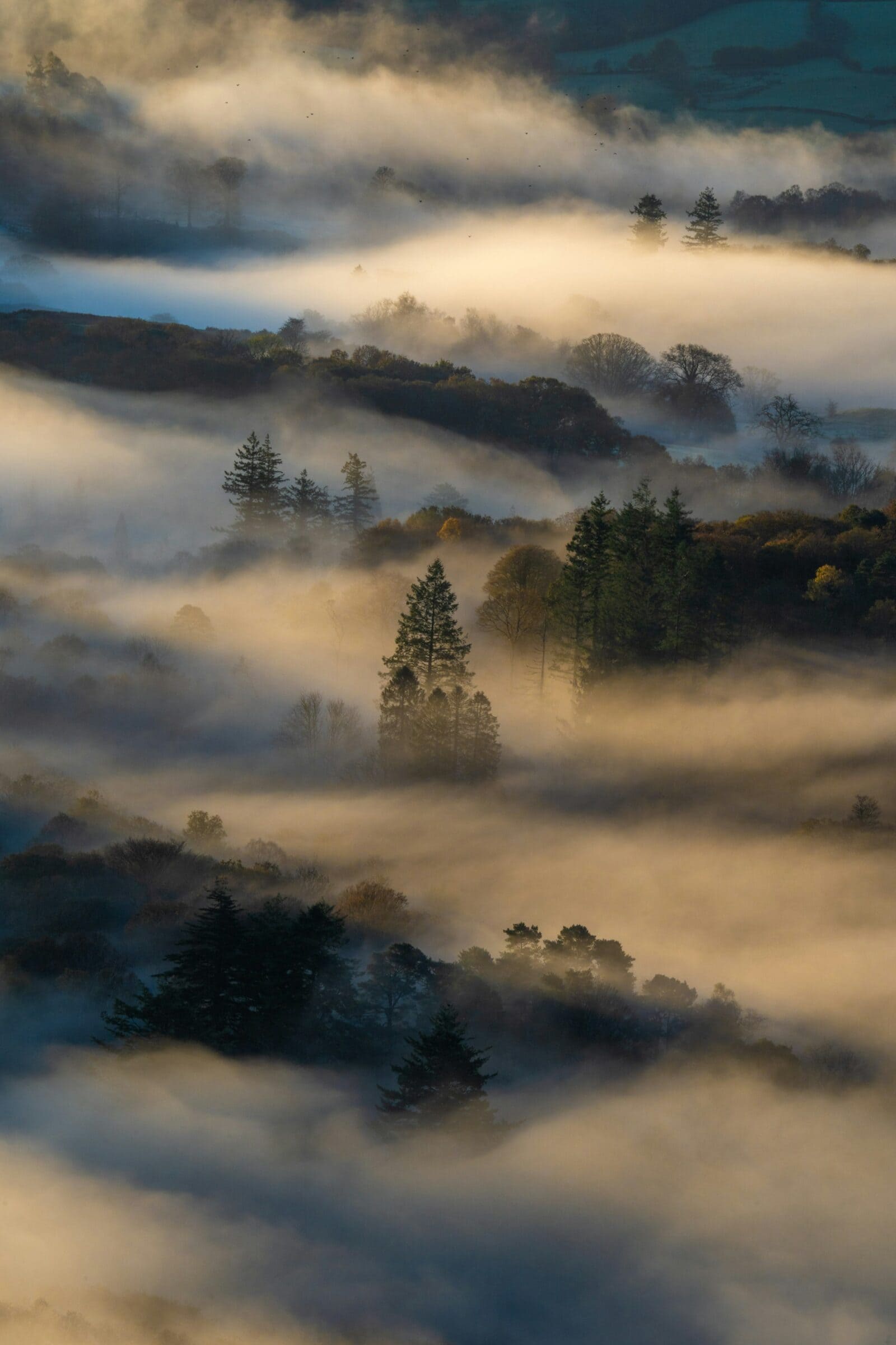 1600x2400 The Perception Shift: Changing the Story People Tell About You at Work the Coach