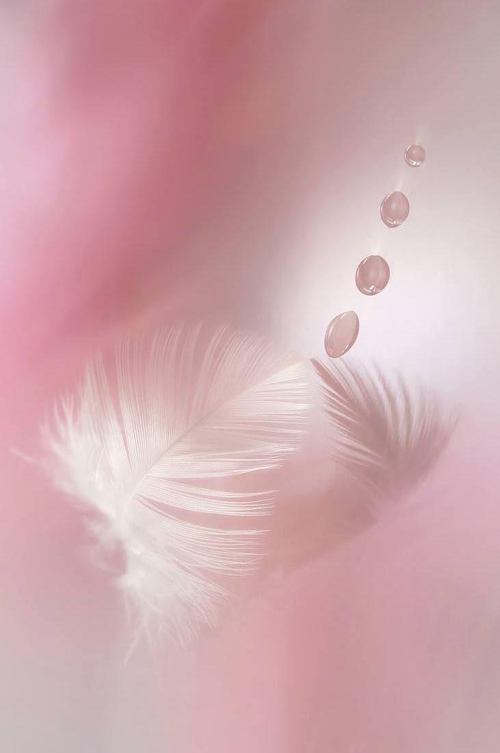 731x1100 Rose gold wallpaper .com