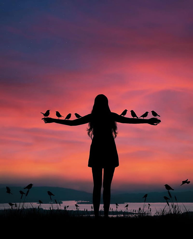 800x991 Nature love, birds, girl, sunset, HD phone wallpaper
