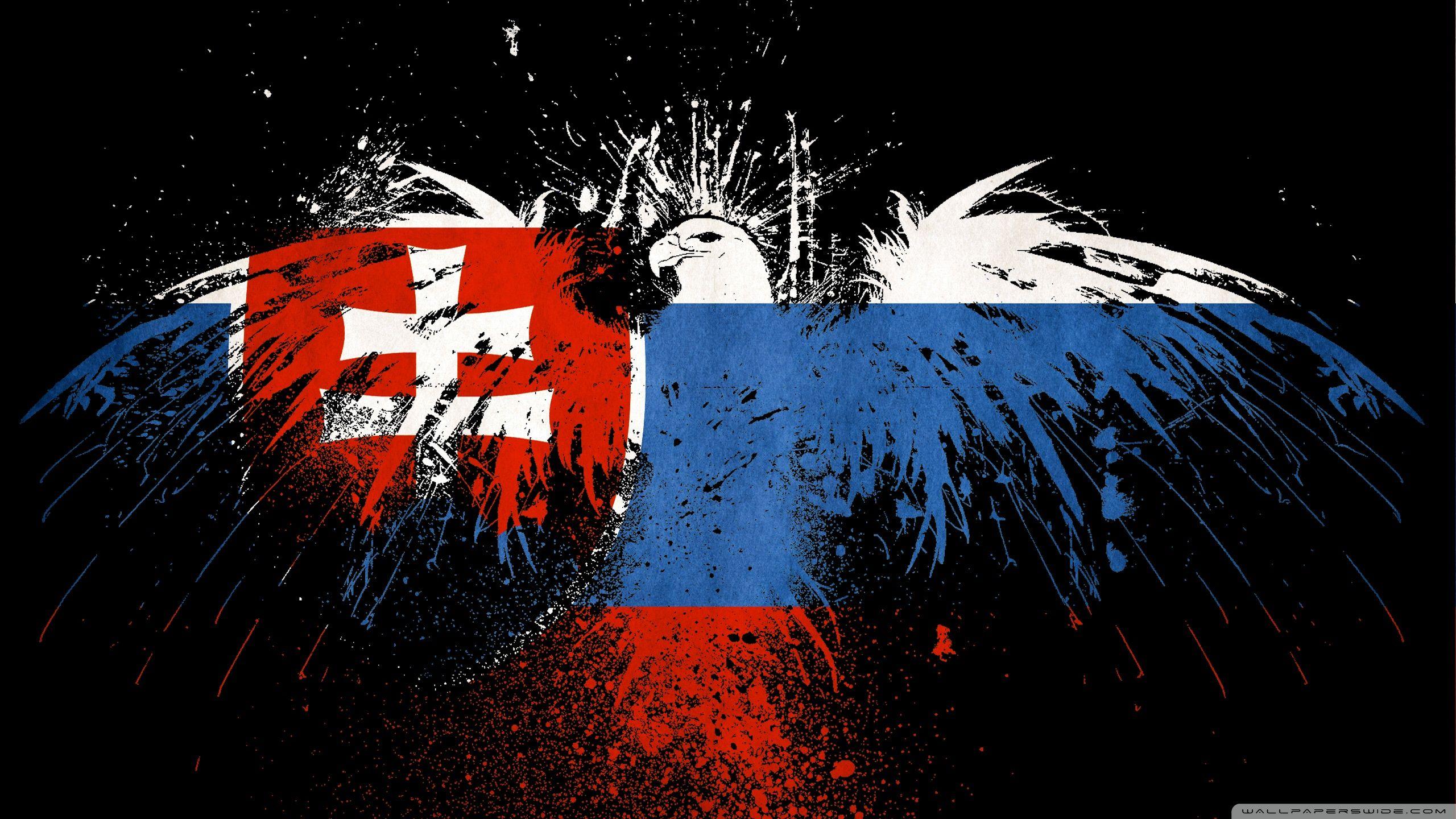 2560x1440 Slovakia Flag Wallpaper