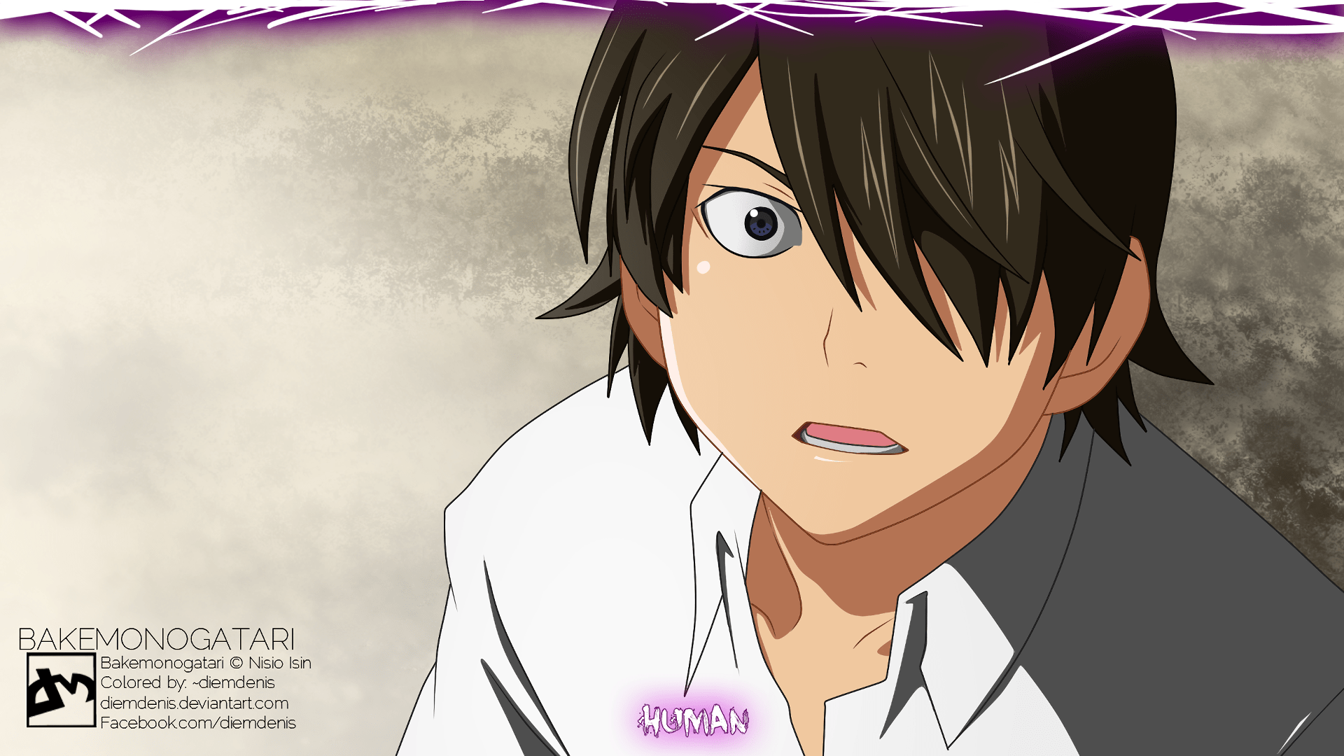 1920x1080 Koyomi Araragi Wallpaper:1920x1080