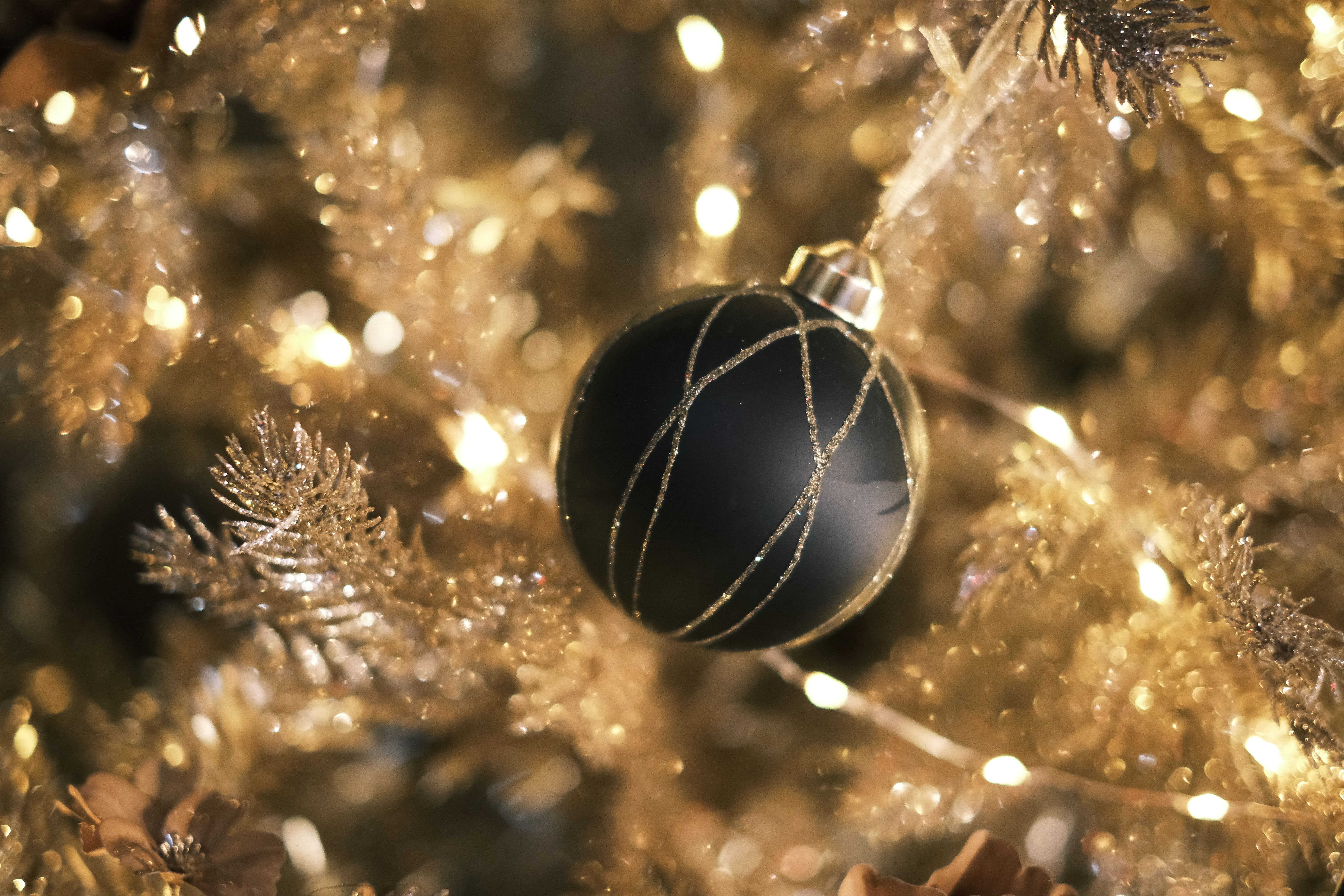 7728x5152 Black Ornament Photo, Download The BEST Free Black Ornament & HD Image