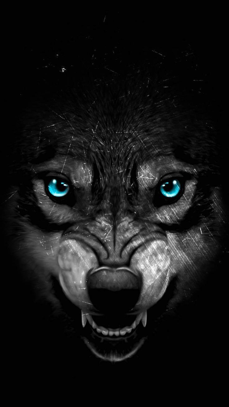 736x1308 Hungry Wolf iPhone Wallpaper. Cool wolf screensaver, Wolf eyes black background, Wolf wallpaper