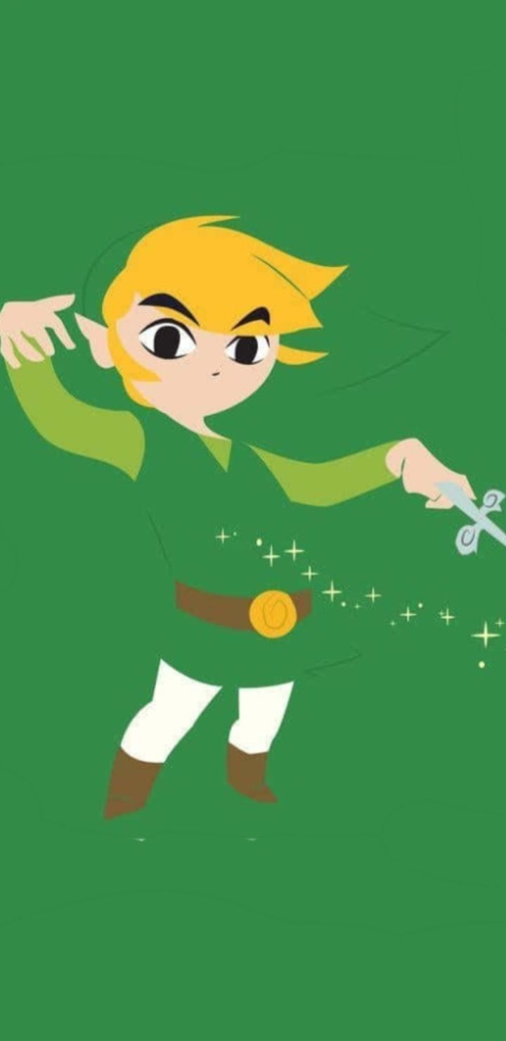 720x1480 Link wallpaper