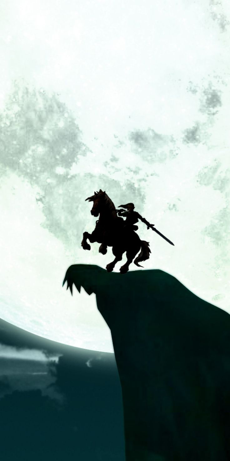 736x1472 Link Wallpaper