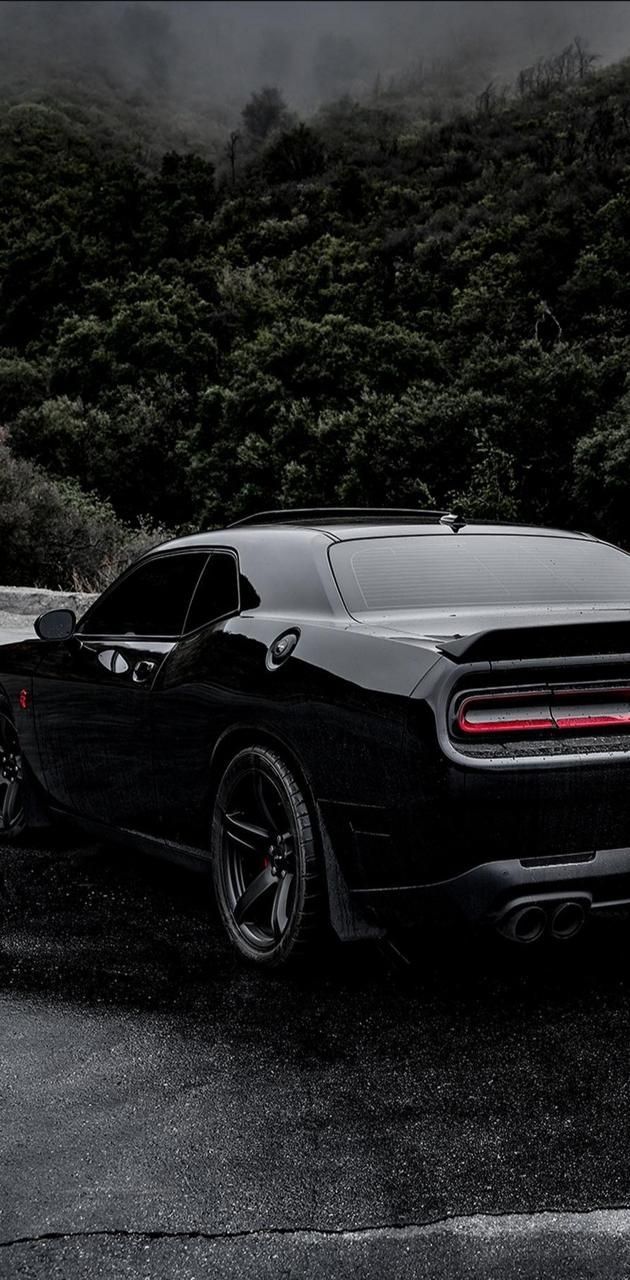 630x1280 Luxury Sports Car