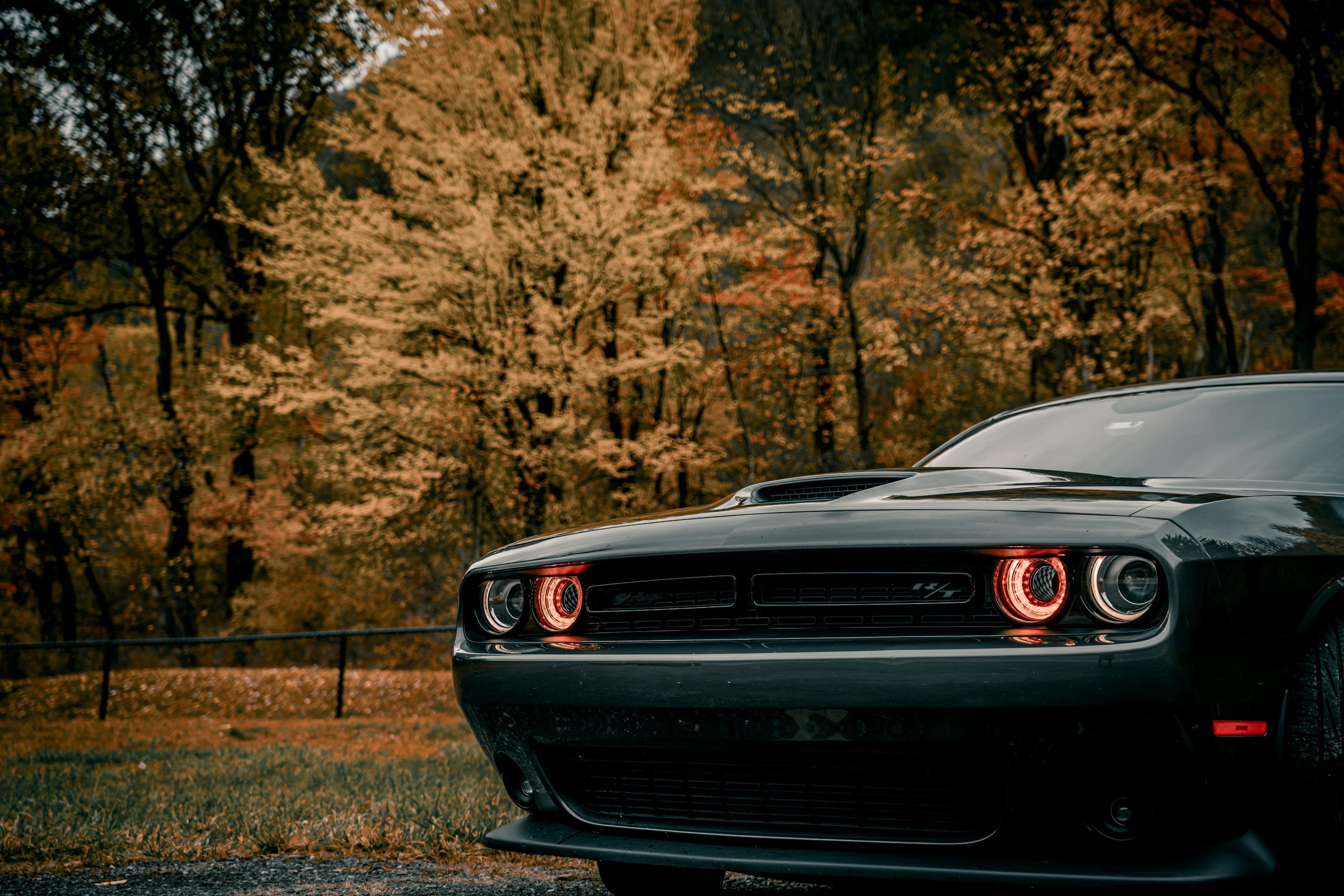 3000x2001 Dodge Challenger Hellcat Picture. Download Free Image