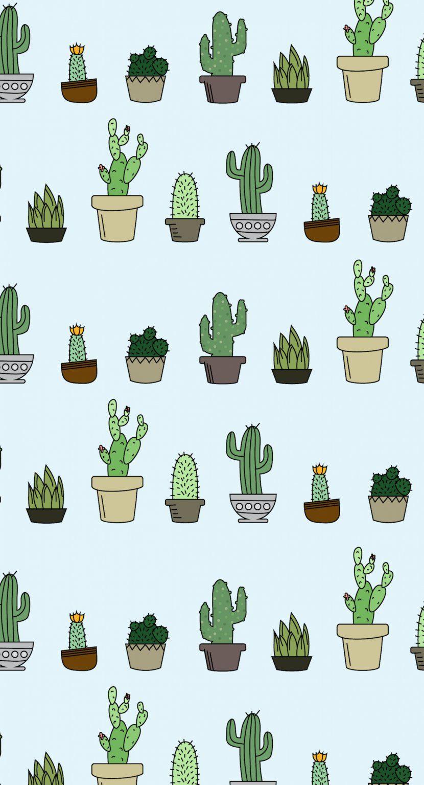 830x1535 Desktop Wallpaper Cactaceae Succulent .
