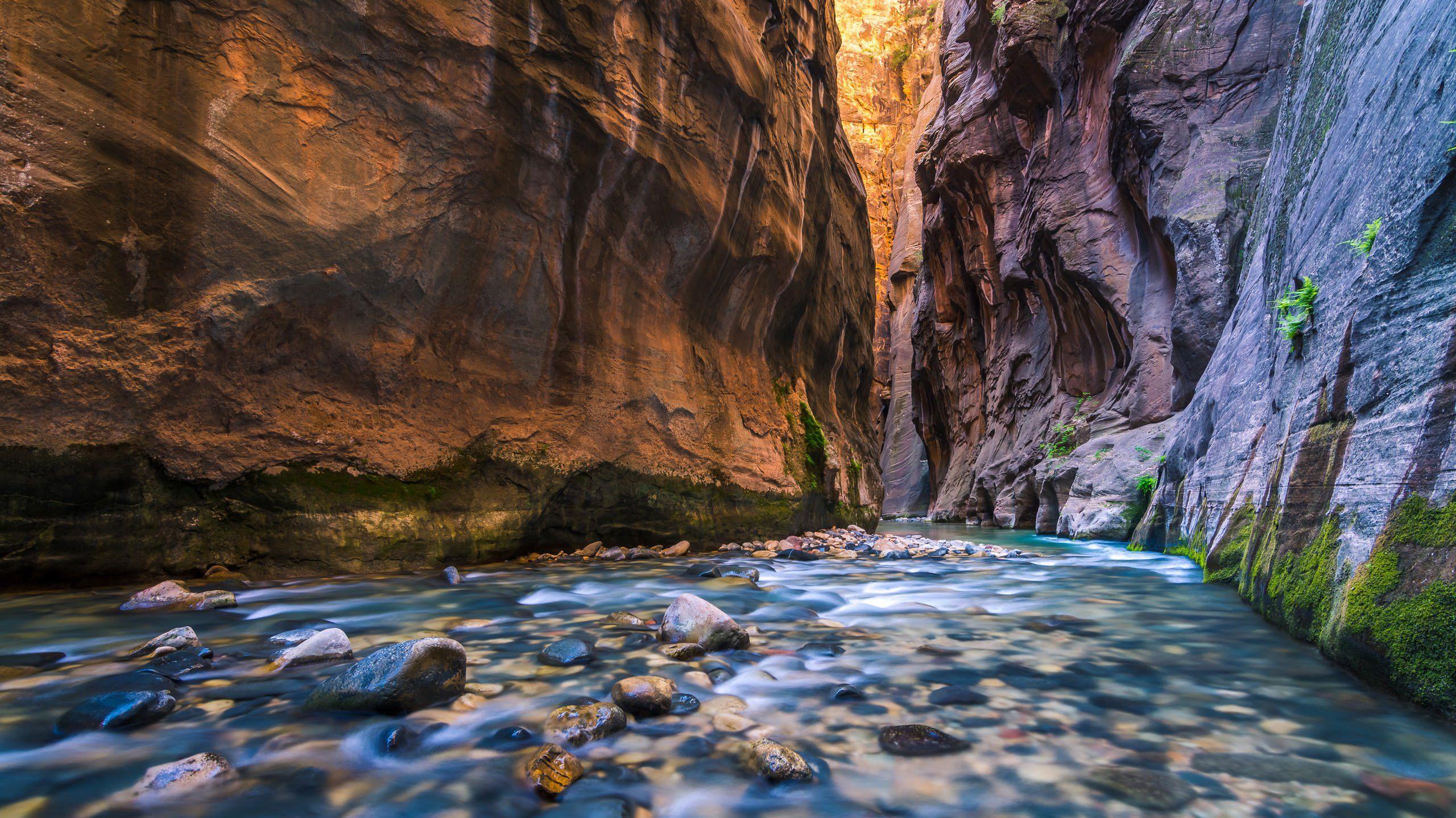 2560x1440 Experience 4K wallpaper for your desktop or mobile screen free and easy to download