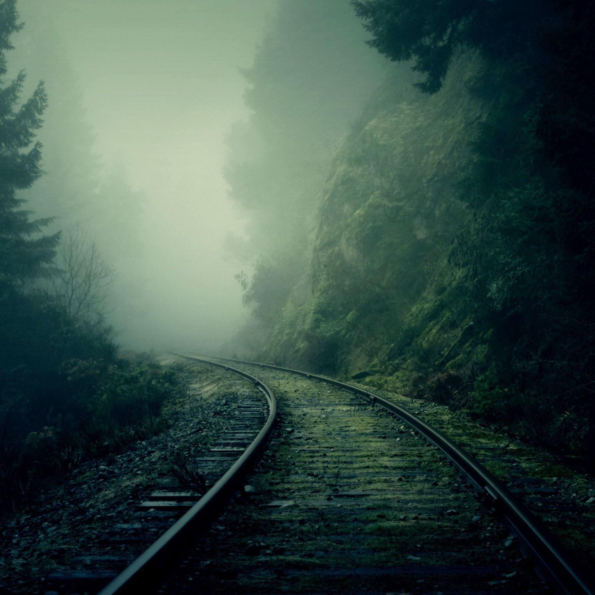1024x1024 Foggy Train Tracks Forest iPad Air Wallpaper Free Download
