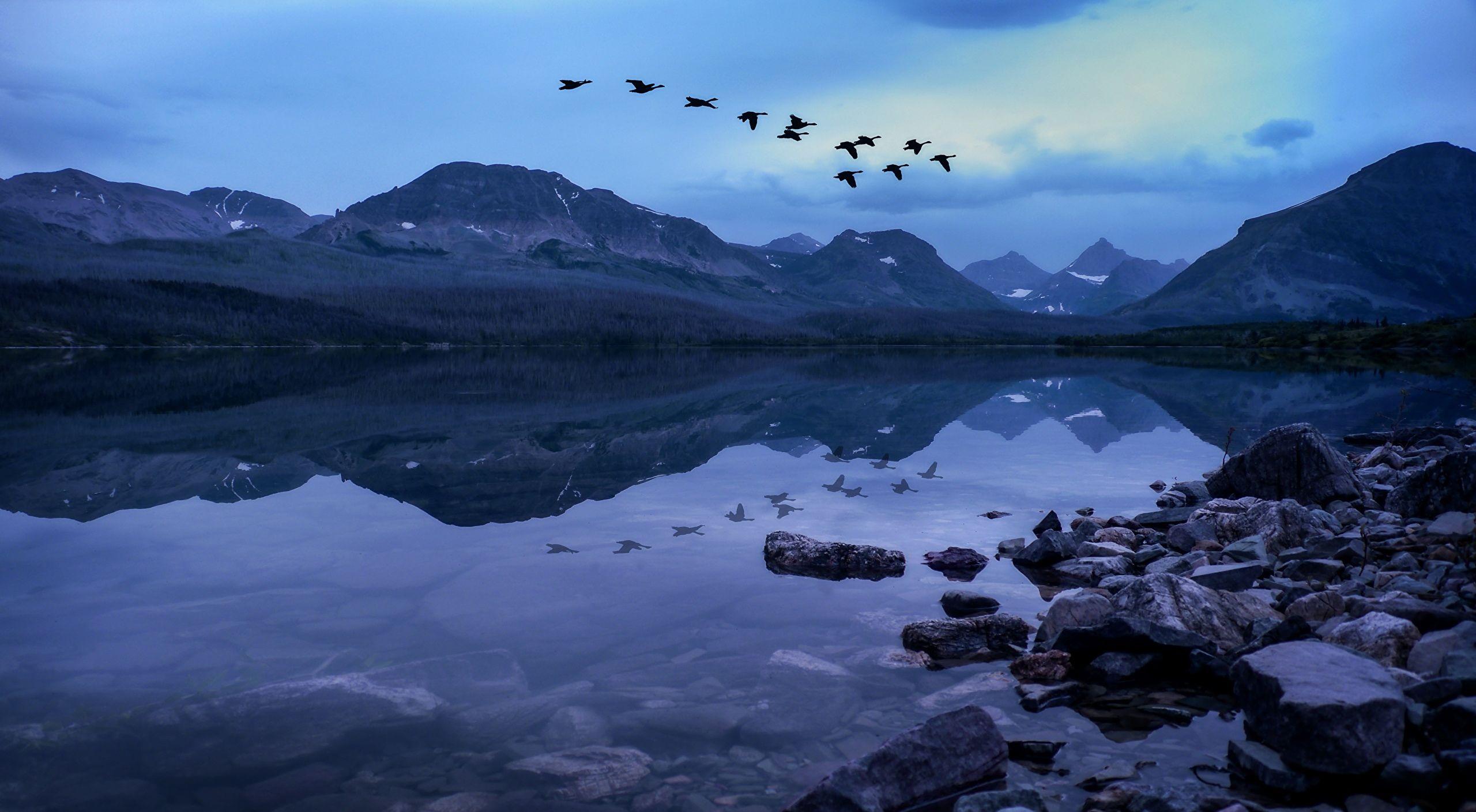 2560x1409 Birds Mountains Stones Evening Lake, HD Nature, 4k Wallpaper, Image, Background, Photo and Picture