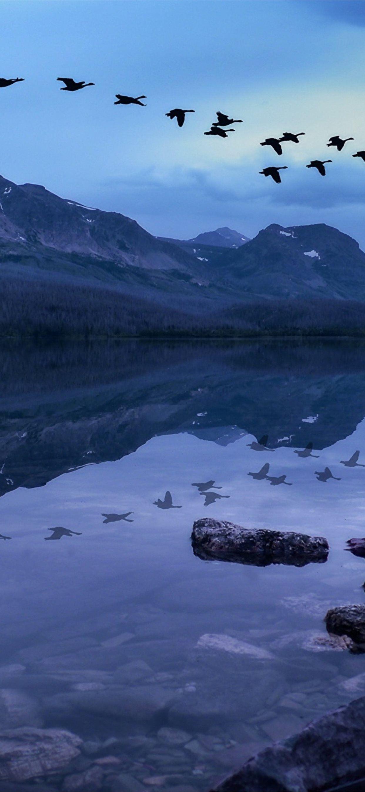 1242x2688 birds mountains stones evening lake iPhone 11 Wallpaper Free Download