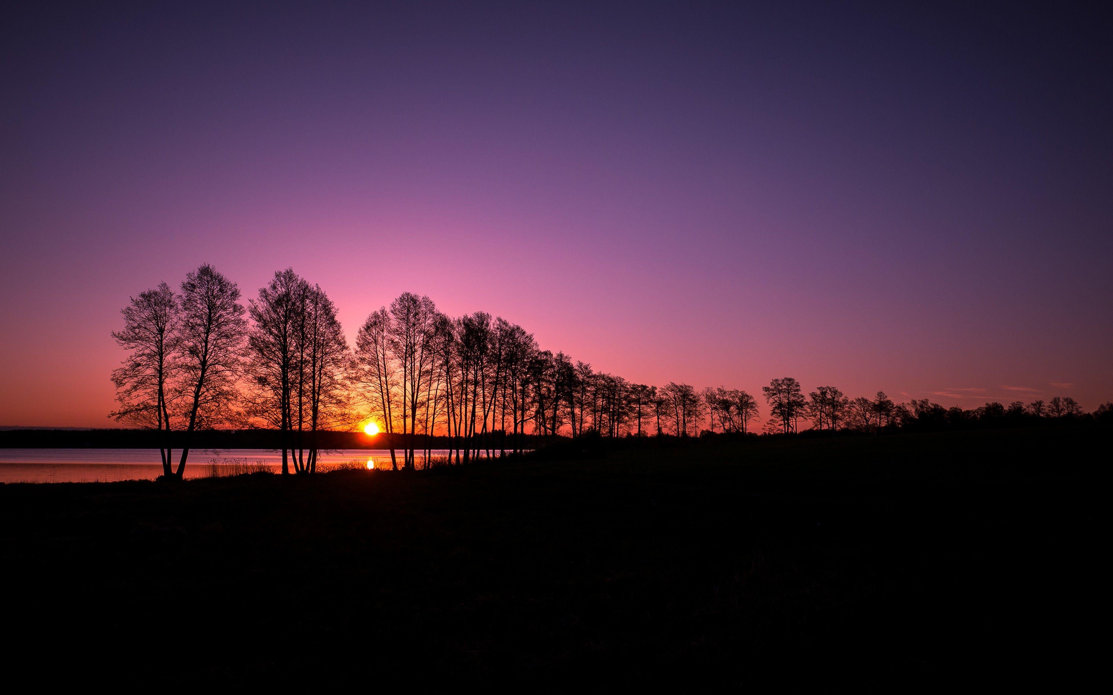 3840x2400 landscape, Nature, Silhouette, Trees, Clear Sky, Sunset, Evening, Lake Wallpaper HD / Desktop and Mobile Background
