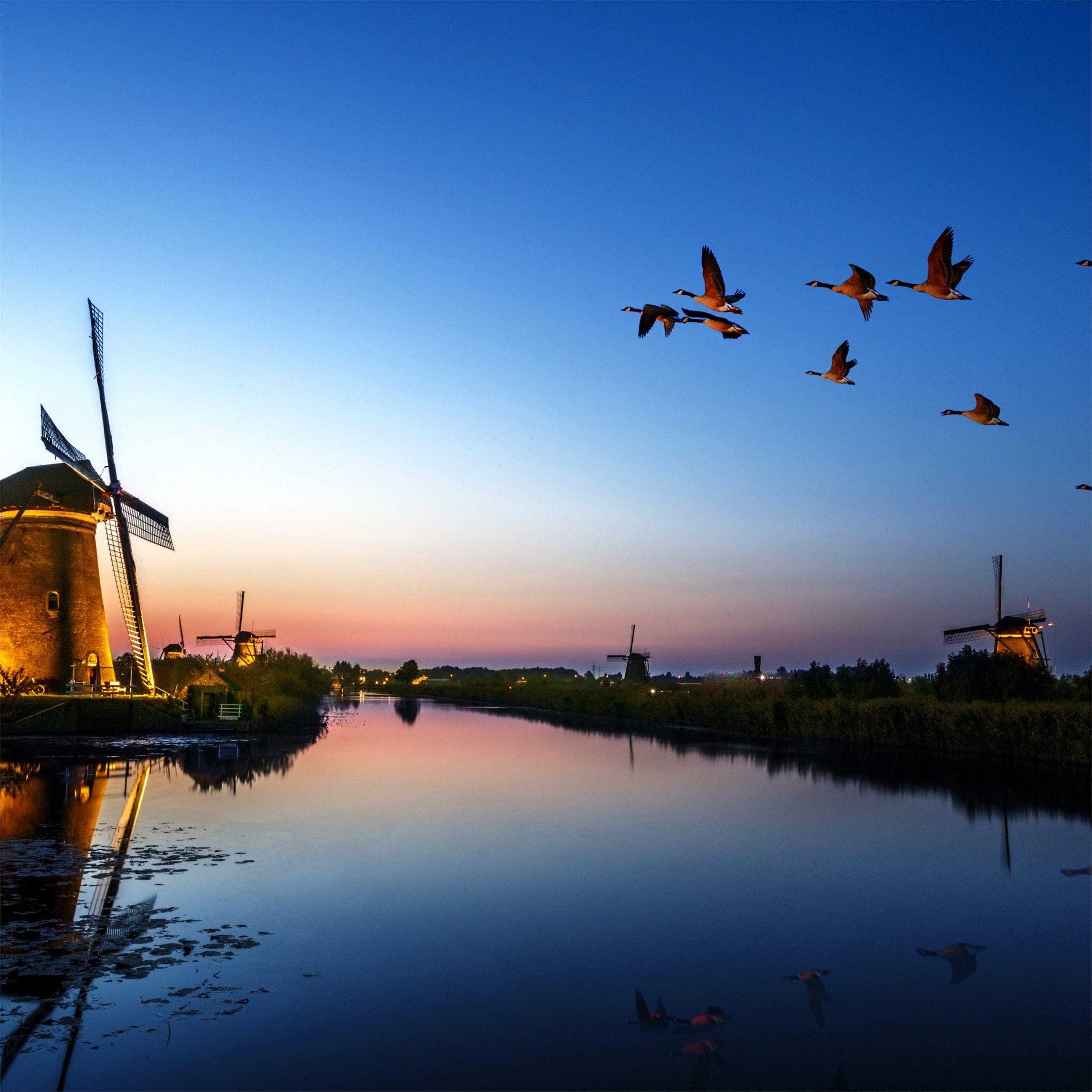 2732x2732 windmill birds flying evening lake 4k iPad Pro Wallpaper Free Download