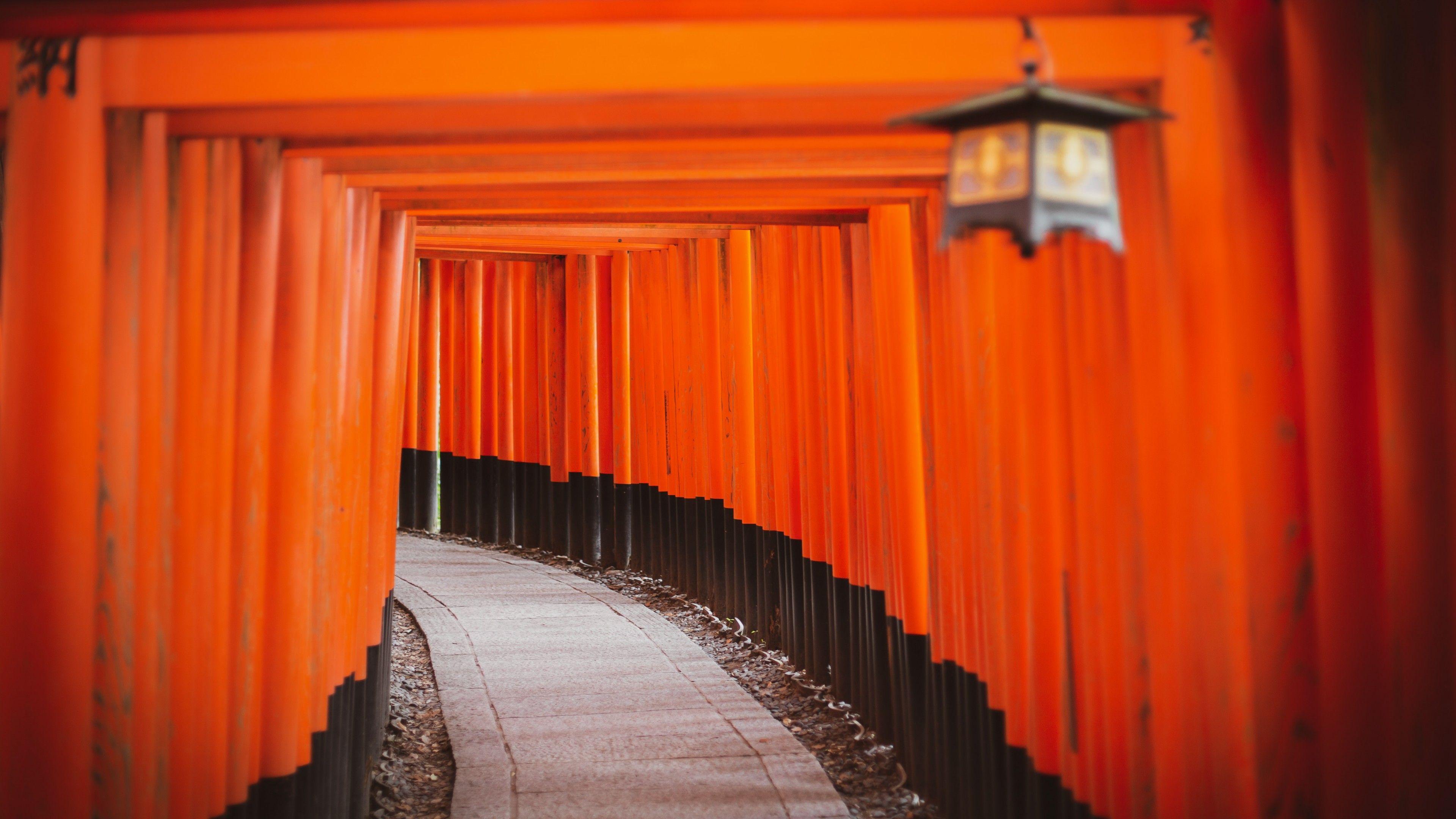 3840x2160 Shinto Shrine Wallpaper 4K, Tokyo, Japan, World