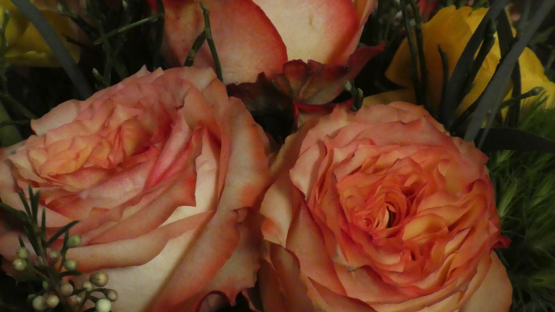 1920x1080 Desktop wallpaper bouquet, flowers, rose, wild, white flowers, HD image, picture, background, 436555