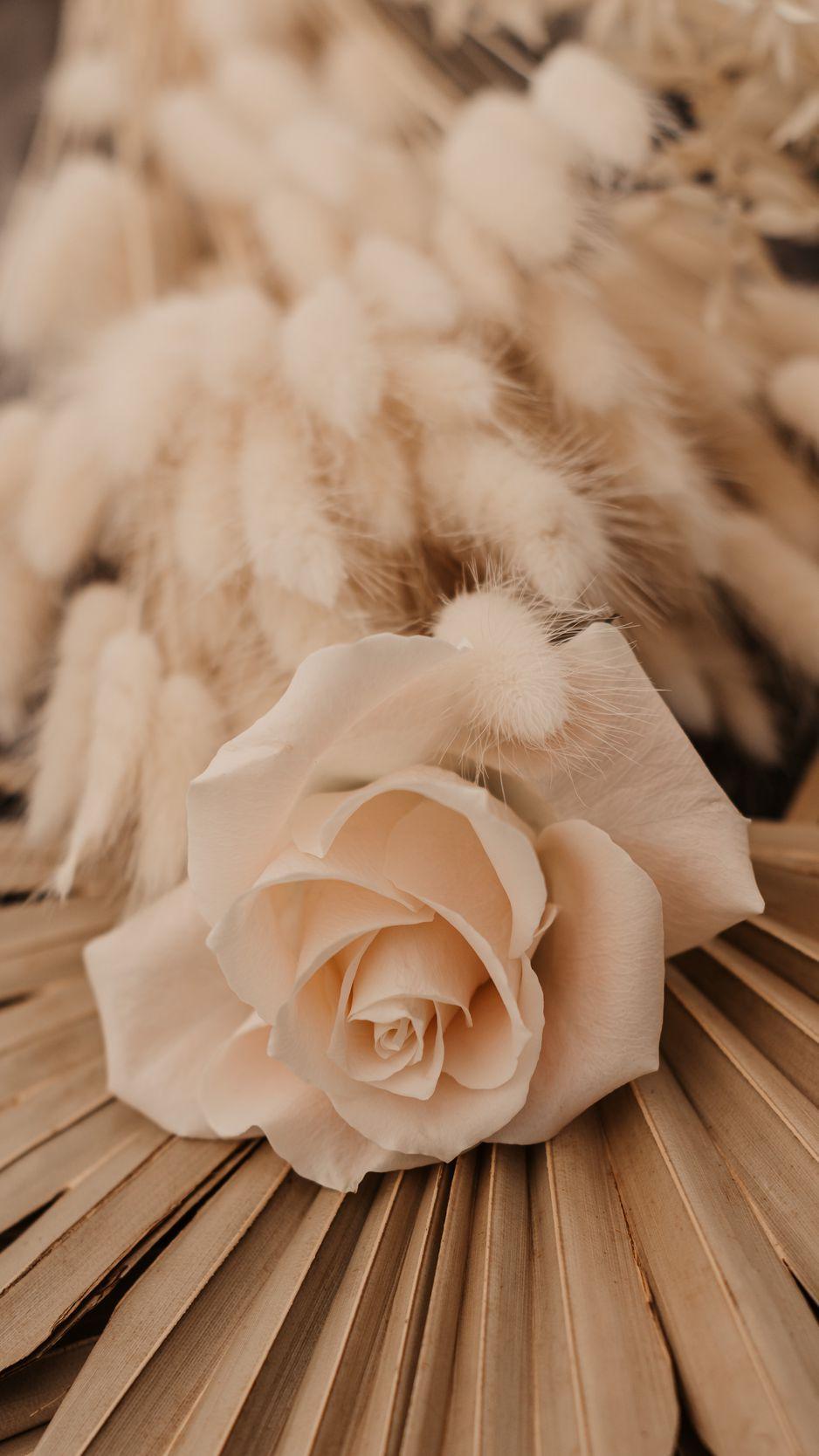 938x1668 Download Wallpaper 938x1668 Rose, White, Flower, Bouquet Iphone 8 7 6s 6 For Parallax HD Background