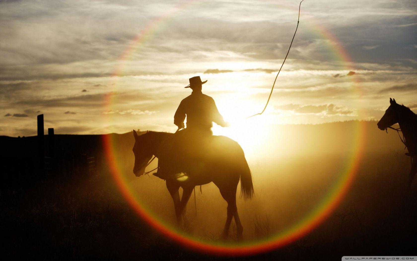 1680x1050 Quarter Horse Wallpaper