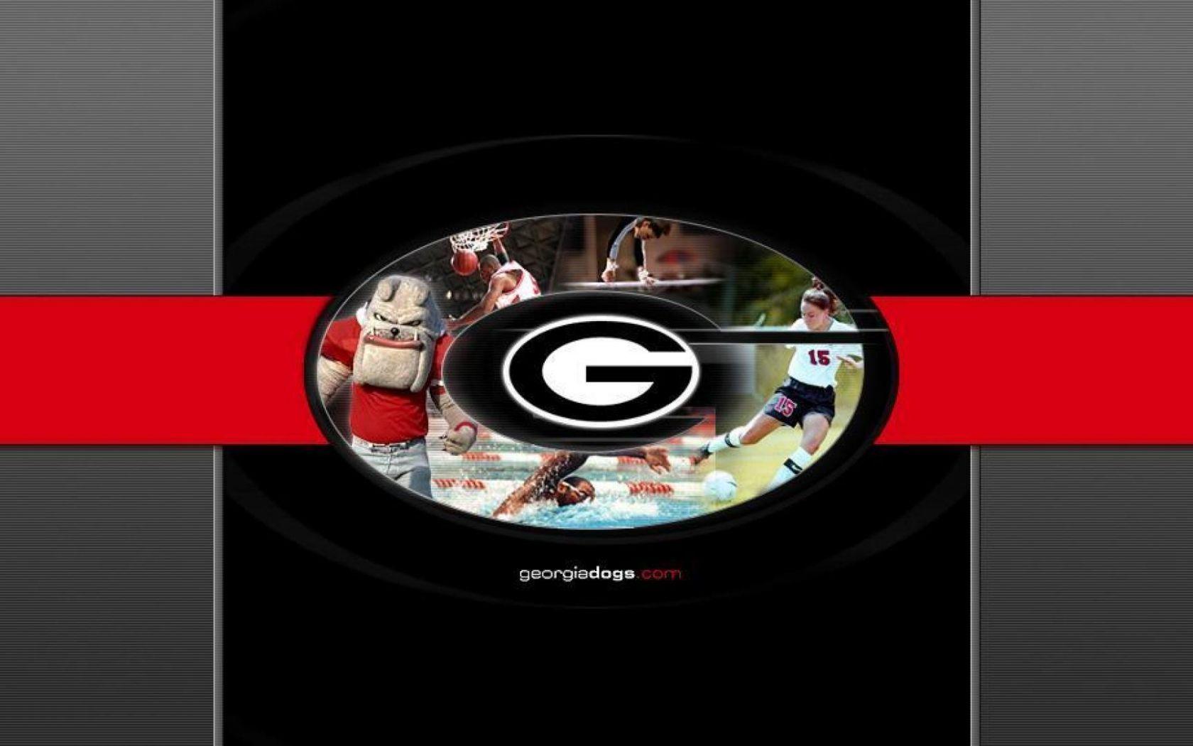 UGA Wallpapers - Top Free UGA Backgrounds - WallpaperAccess