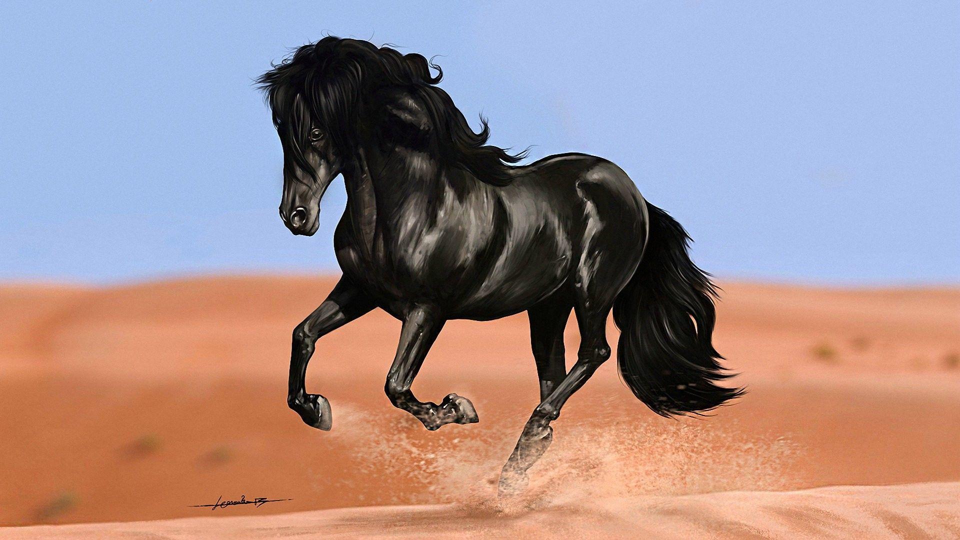 1920x1080 American Quarter Horse HD Background Wallpaper 19712