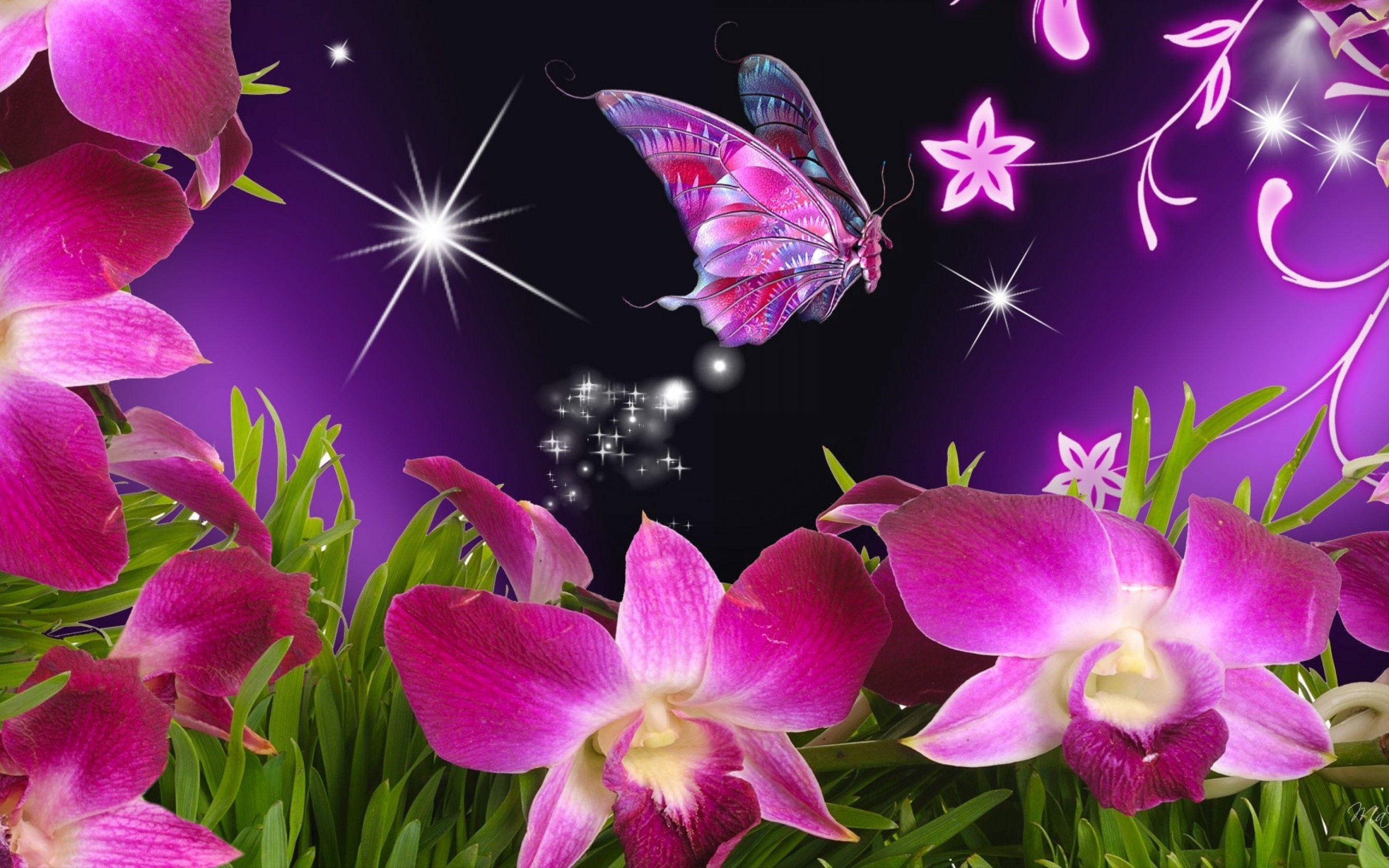 Máy tính để bàn hình nền con bướm hồng 2880x1800 https://wallpaperaccess.com/full/5009203.jpg