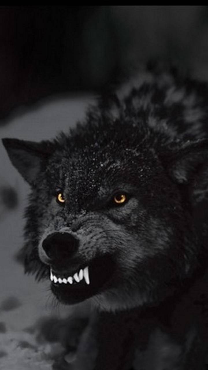 720x1280 Angry Wallpaper