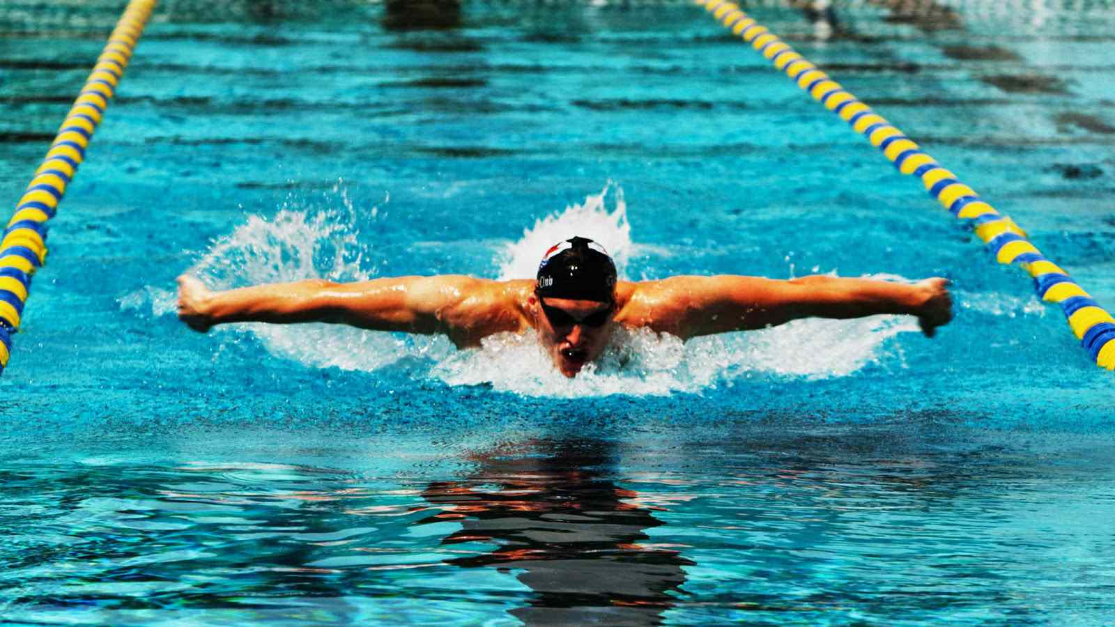 1600x900 Butterfly Style In Swimming HD Wallpaper