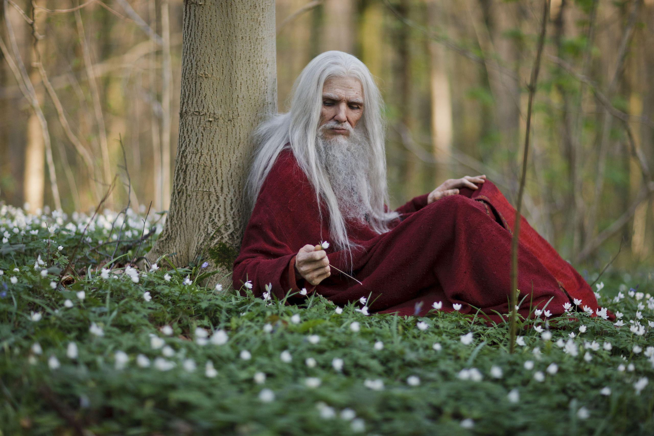 2560x1707 Merlin Family Drama Fantasy Adventure Television Wizard Arthur Old Merlin HD Wallpaper