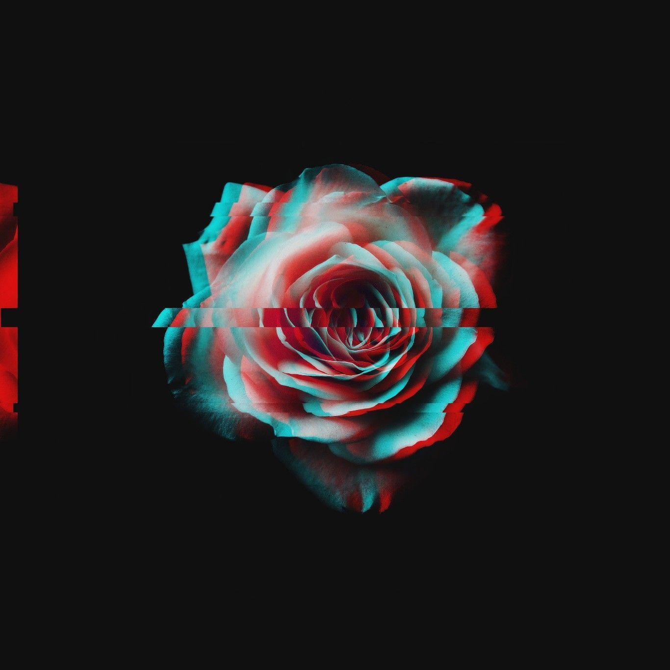 Dark Roses Aesthetic Wallpapers Top Free Dark Roses Aesthetic Backgrounds Wallpaperaccess