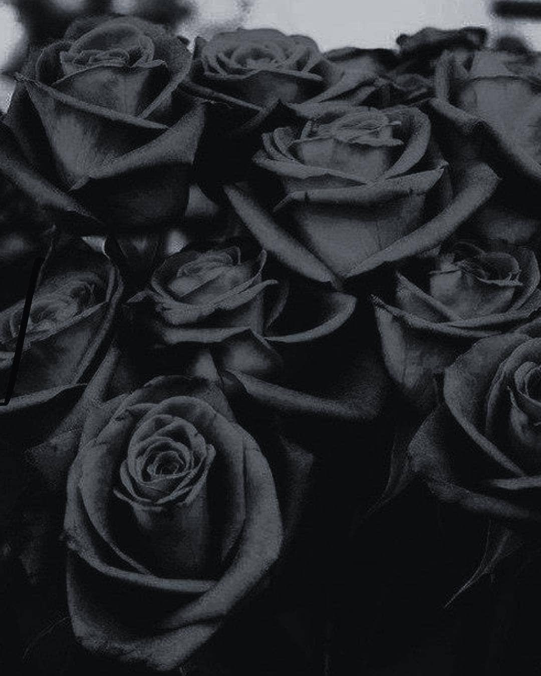 1080x1349 Rosas negras