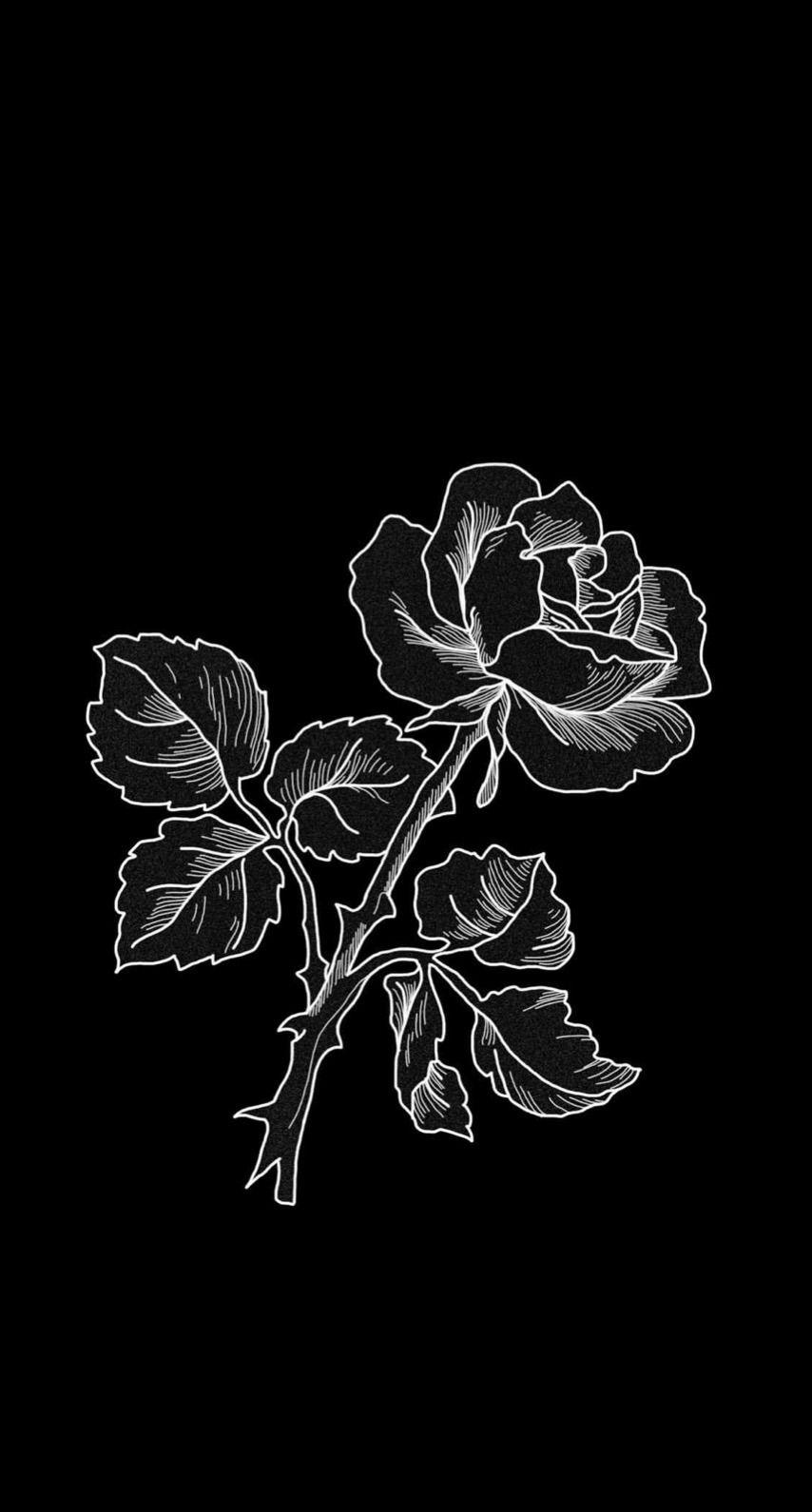854x1590 Aesthetic Wallpaper Black Rose
