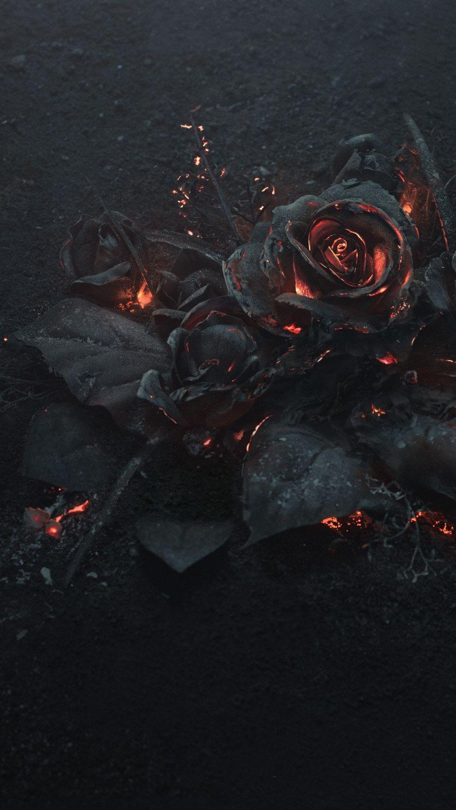 938x1668 Wallpaper black rose illustration, ash, burning, abstract, dark, flowers • Wallpaper For You HD Wallpaper For Desktop & Mobile