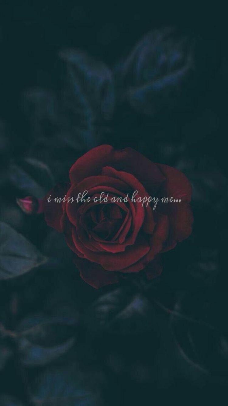 750x1335 Aesthetic Wallpaper Black Rose