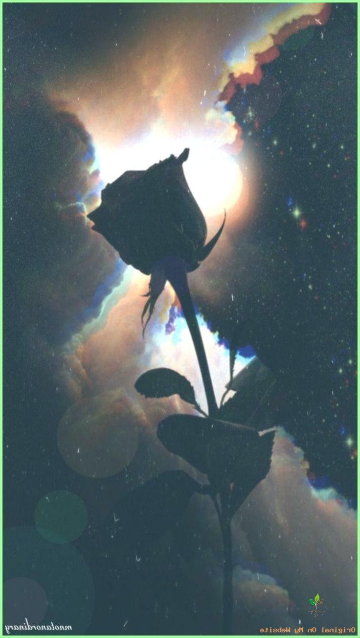736x1303 Wallpaper Background Aesthetic Moonlight clouds black rose full moon dark wallpaper #wall. Black roses wallpaper, Dark wallpaper, Dark wallpaper iphone