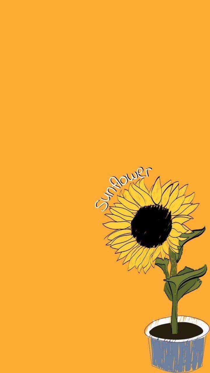 720x1280 Cute Sunflower Wallpaper