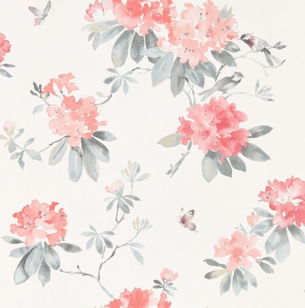 Coral Floral iPhone Wallpapers - Top Free Coral Floral iPhone