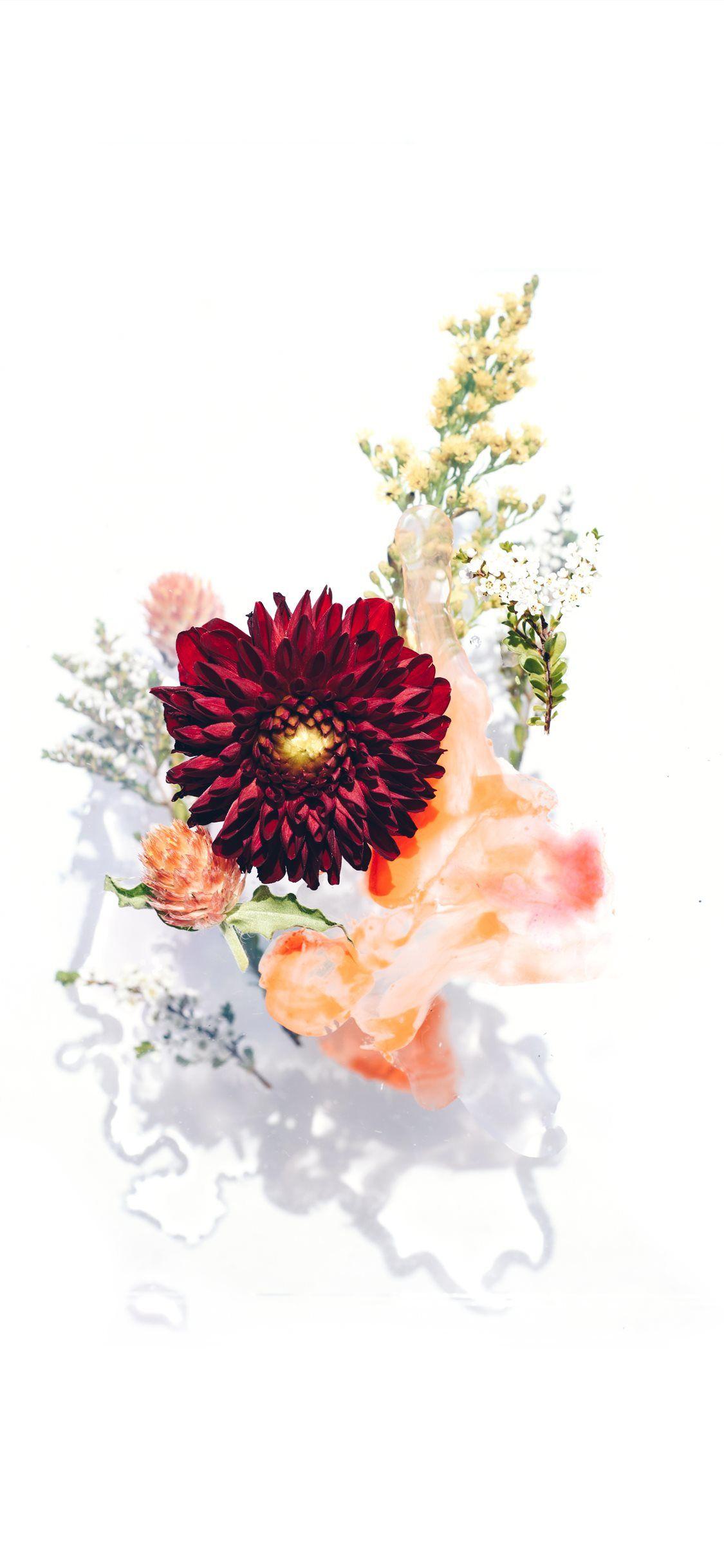1125x2436 Florals arranged on glass iPhone Wallpaper Free Download