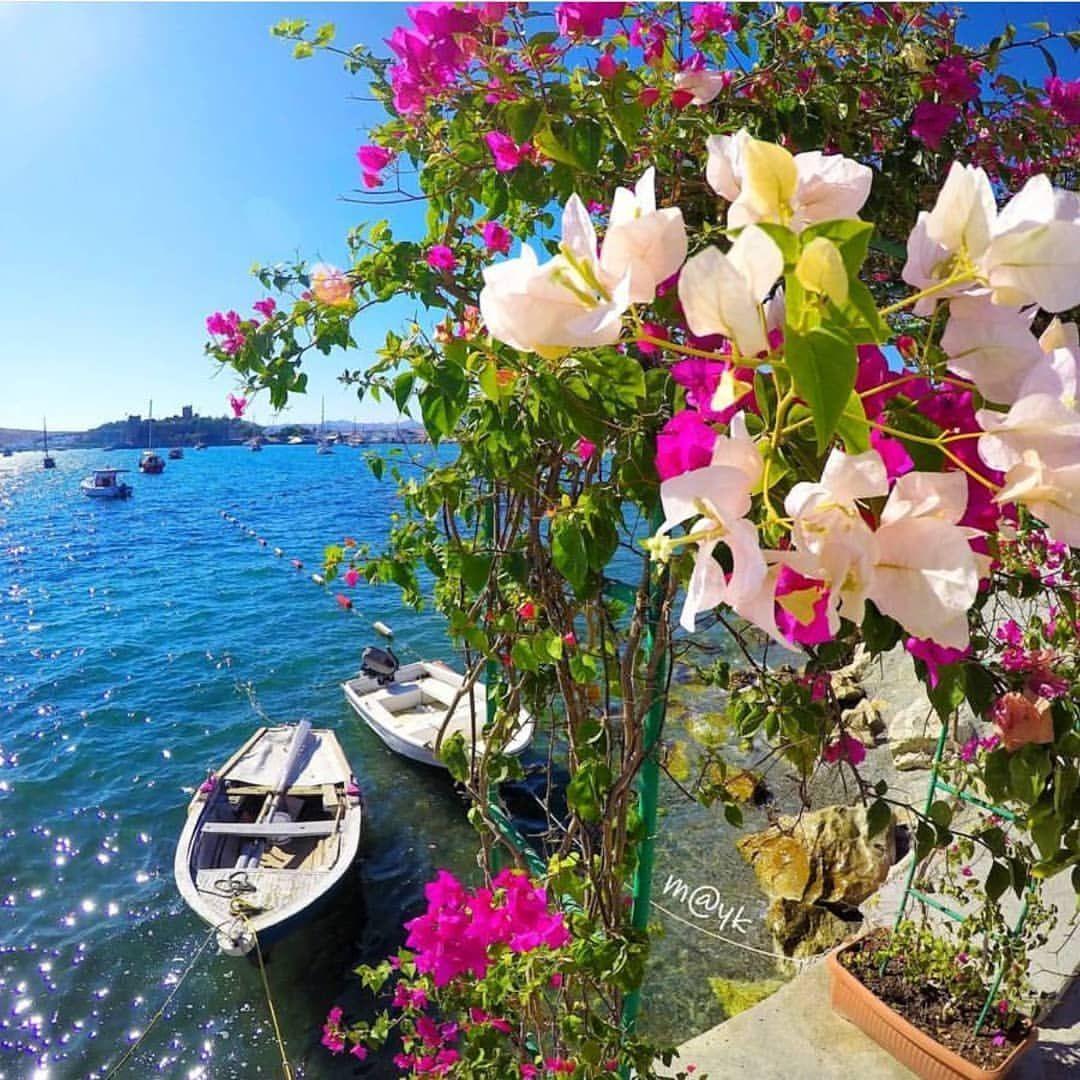 1080x1080 Mutlu pazarlar :) #Bodrum ( ). Beautiful nature, Stunning wallpaper, Dream landscape