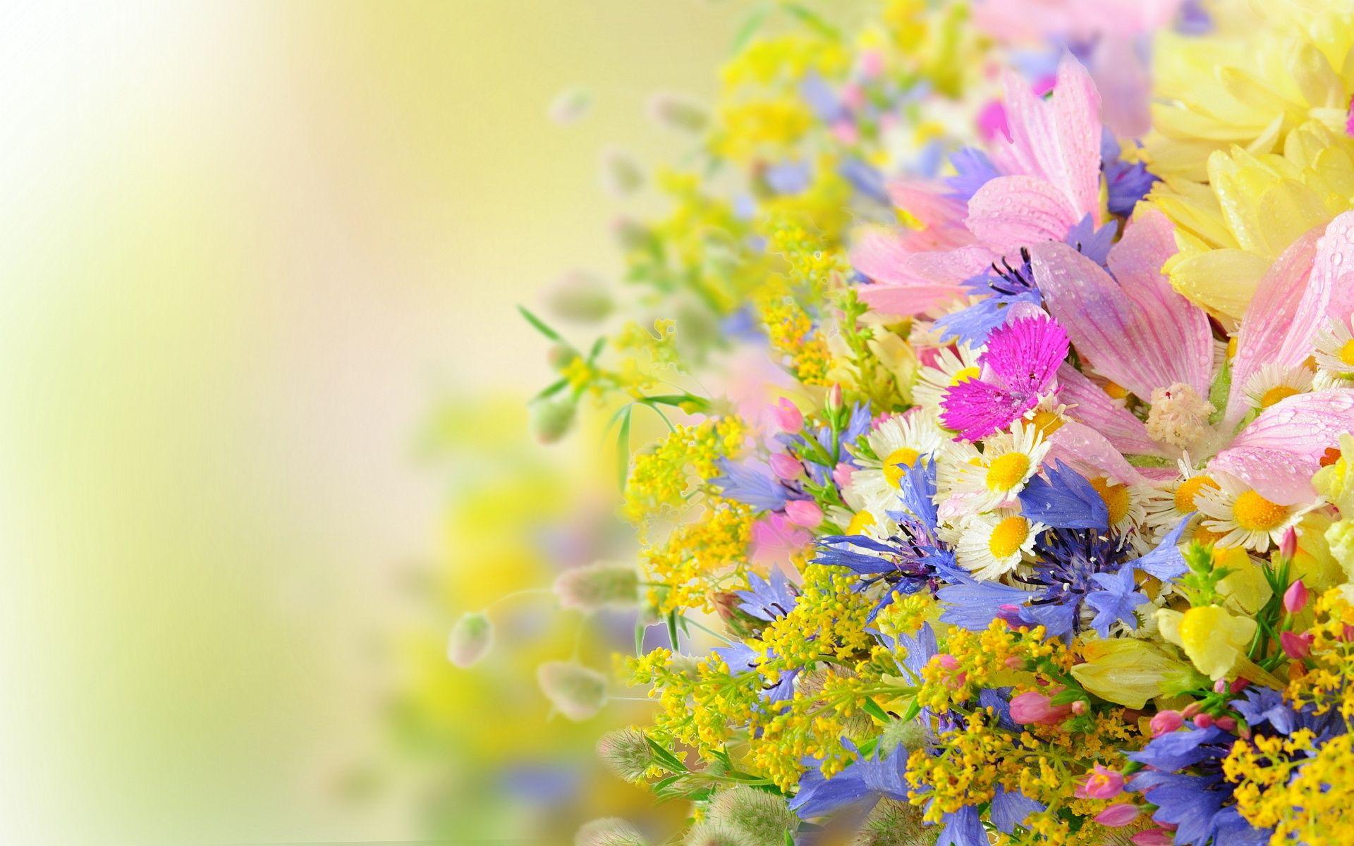 1920x1200 Summer Flowers Background Flower Wallpaper HD Wallpaper & Background Download