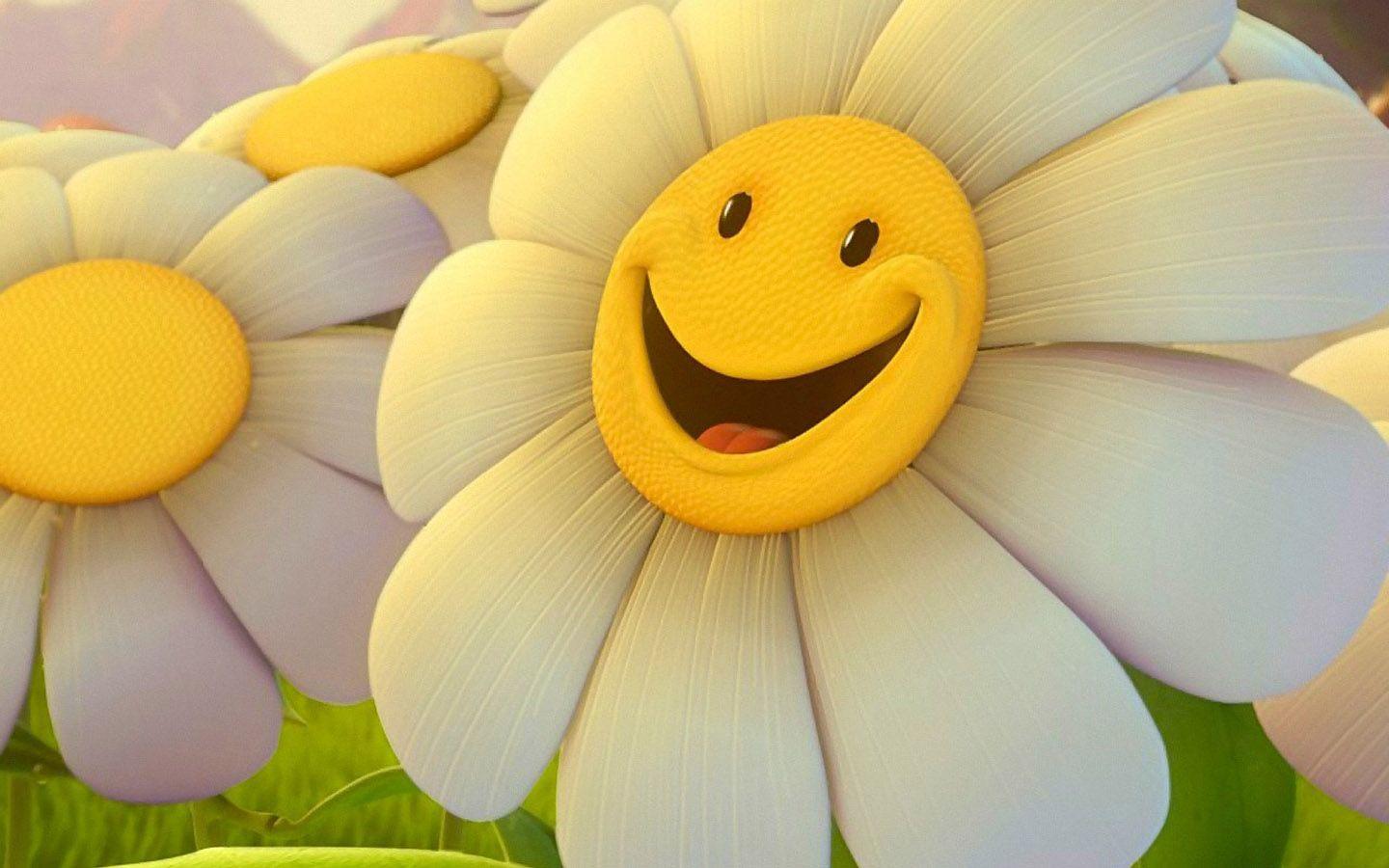 1440x900 Cute sunflower desktop wallpaper