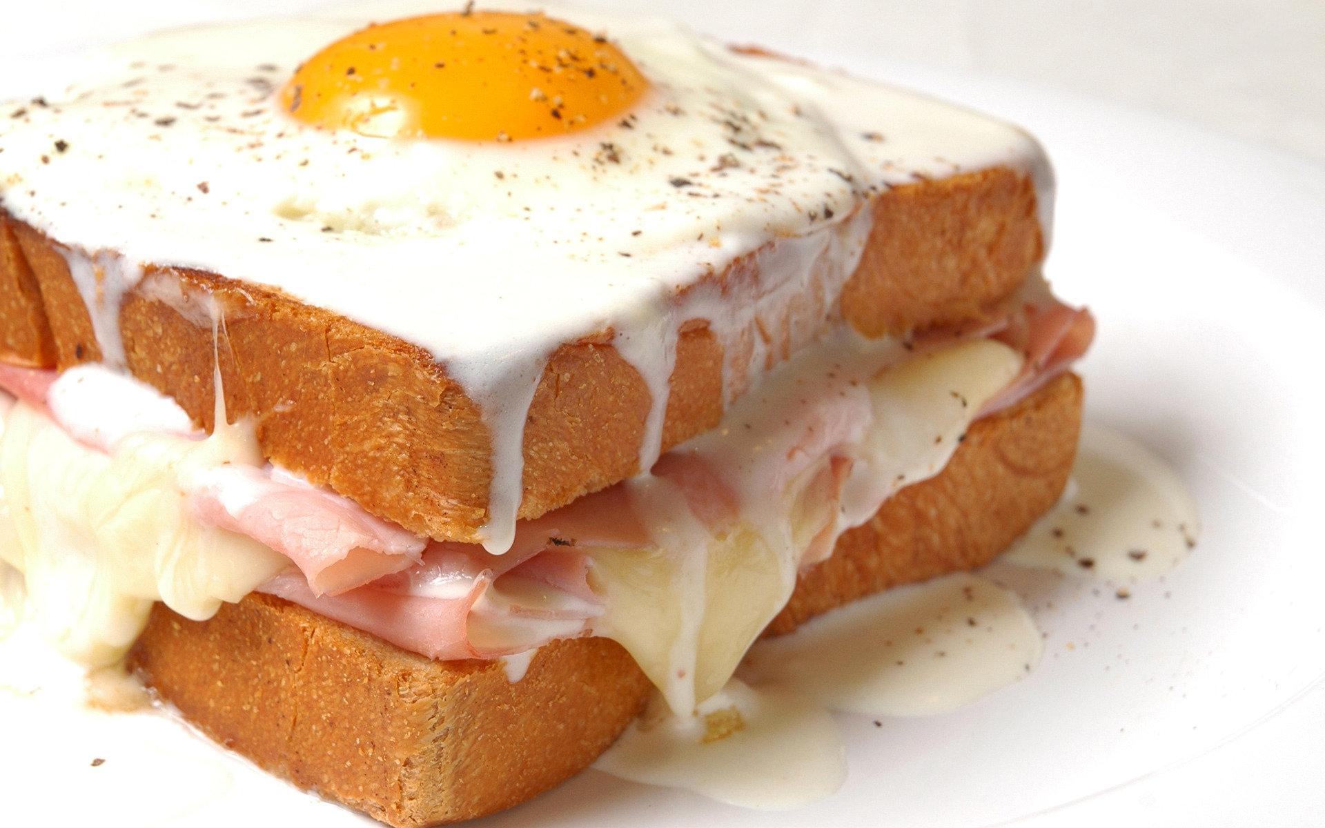 1920x1200 Best Sandwich wallpaper for High Resolution HD 1920x1200 PC