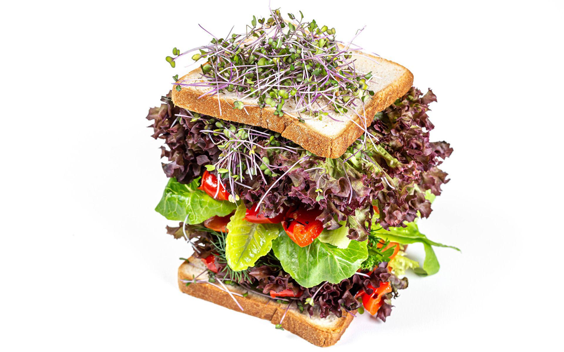 1920x1200 image microgreen Sandwich Bread Food Vegetables White 1920x1200