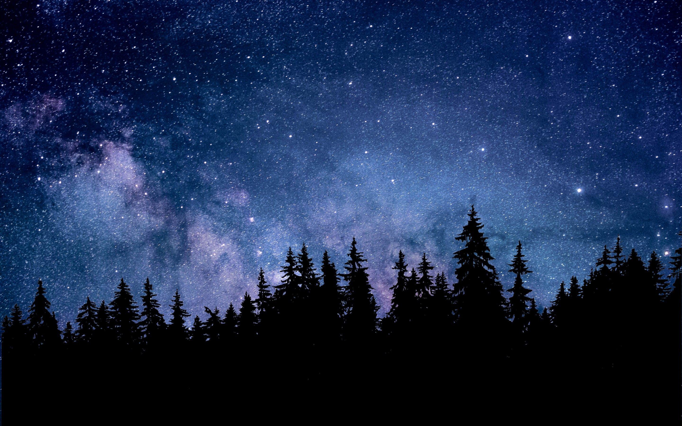2880x1800 Night 4K Wallpaper, Starry sky, Forest, Silhouette, Astronomy, Cosmos, 5K, Nature